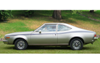 1973-75 AMC Americian Motors Hornet X Side Stripe - Two Color